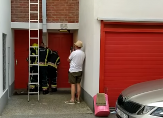 VATROGASCI U INTERVENCIJI NA JARUNU: Izvlačili nesretnog goluba iz oluka! Evo što se dogodilo!