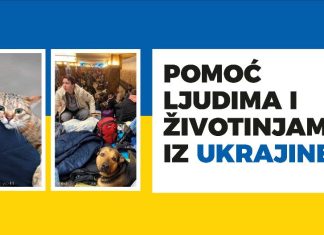 Prijatelji životinja pozvali na pomoć ukrajinskim obiteljima i njihovim ljubimcima: Udomljavanje i drugi oblici pomoći još uvijek potrebni