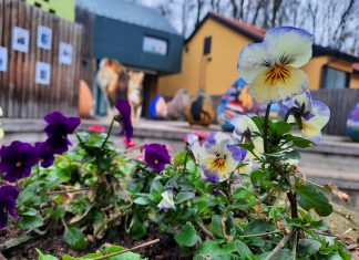 Nedjelja u Zoološkom vrtu: Radionice za najmlađe i modna revija u ‘divljem srcu grada’