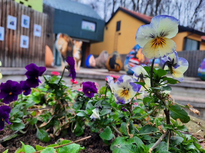 278114144_10158660106762335_8059323179129785983_n