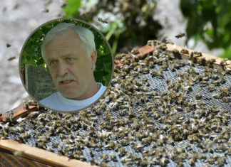 Pčelar otkriva zašto u okolici Zagreba nema pomora pčela i kako se ipak dogodilo da je jednom izgubio gotovo cijelu populaciju
