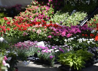 Počinje 58. Floraart: Na zagrebačkom Bundeku uskoro kreće cvjetni spektakl