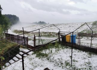 ELEMENTARNA NEPOGODA U ZAGORJU ‘Ako je država odustala od protugradne obrane, moramo ljudima osigurati dodatna sredstva!’