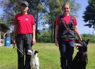 STIŽE PAS U SPAS! HGSS-ovci dobili su nove članove potražnih timova: Kate i Tesla tražit će ljude u ruševinama