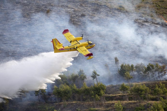 pozar_zrnovnica3-170622