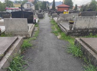 (FOTO) ‘Super, a ja njih podsjećam da bi mogli i održavat groblja!’ Zagrepčani su revoltirani zapuštenim izgledom posljednjih počivališta najmilijih