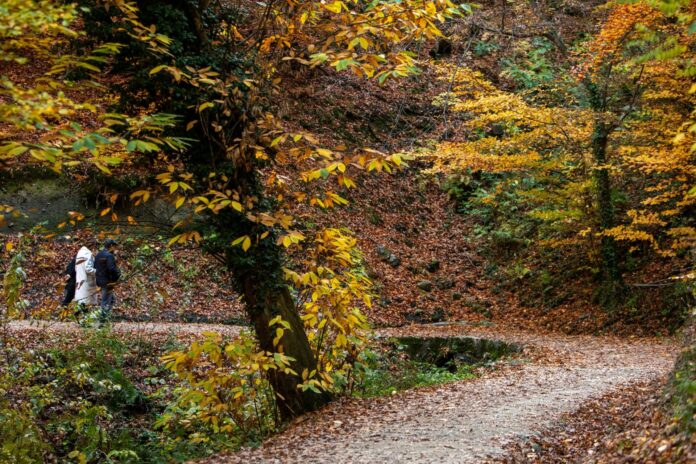 Zagreb, 07.11.2021 - Jesensko poslijepodne u setnji Sljemenom