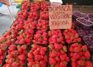 Na zagrebačke tržnice stižu Vrgoračke jagode: Proizvođači otkrili kolika će biti cijena