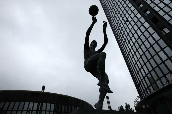 Cibona dražen petrović