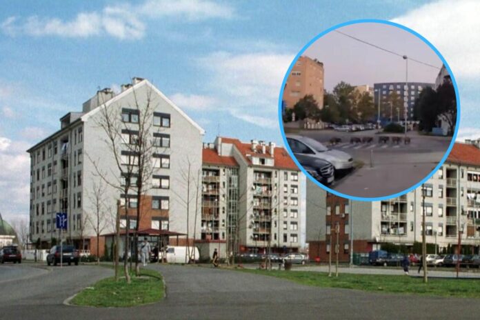 Untitled design (16)