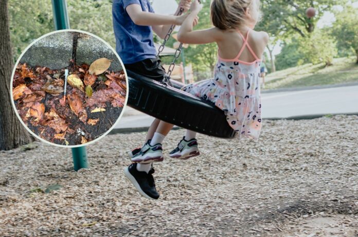 Untitled design - 2023-09-15T102119.609