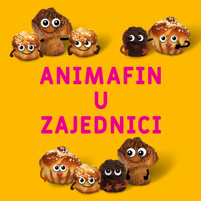 ANIMAFIN U ZAJEDNICI copy