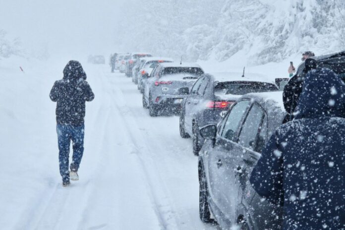 Untitled design (23)