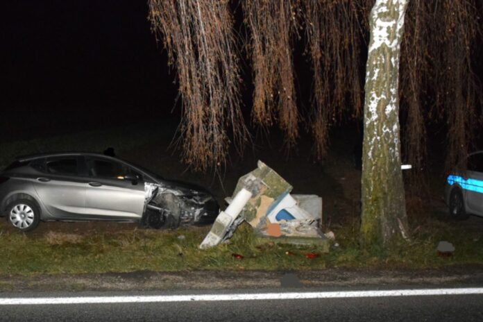 Untitled design (40)