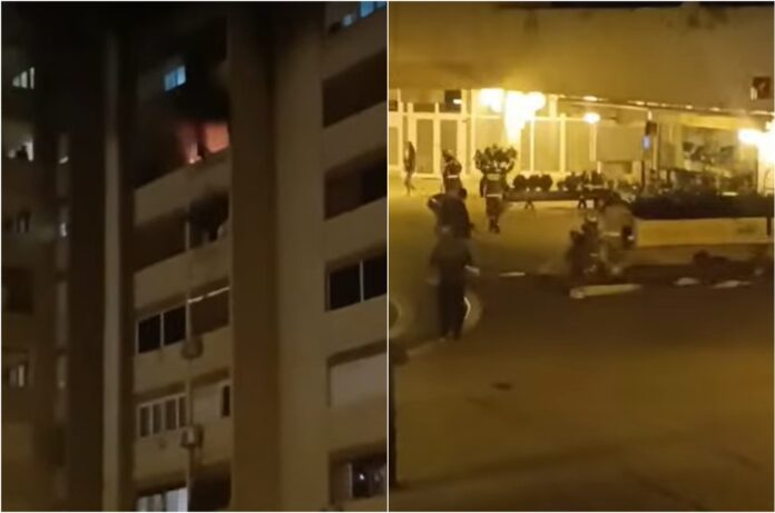 collage petarda pozar