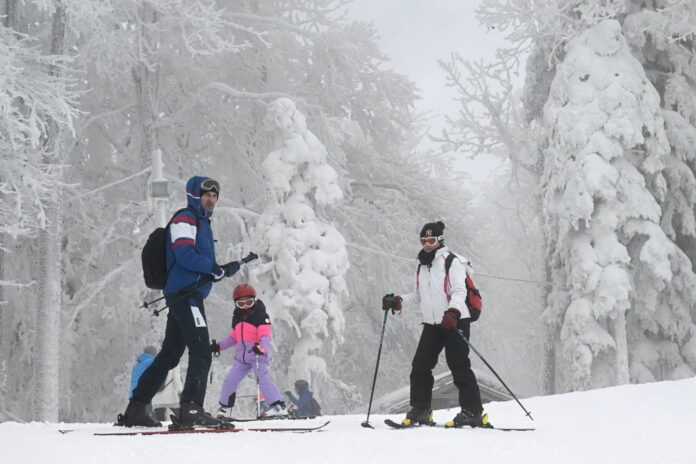 Dizajn bez naslova(58)