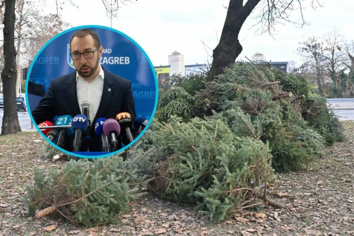 Untitled design (92)