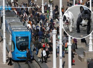 Slučaj podijelio Zagrepčane: ‘Svaka rasa može biti čuvar, čovjek je svaki izvor problema’