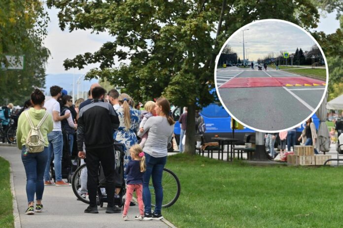 Dizajn bez naslova - 2024-02-19T140055.933