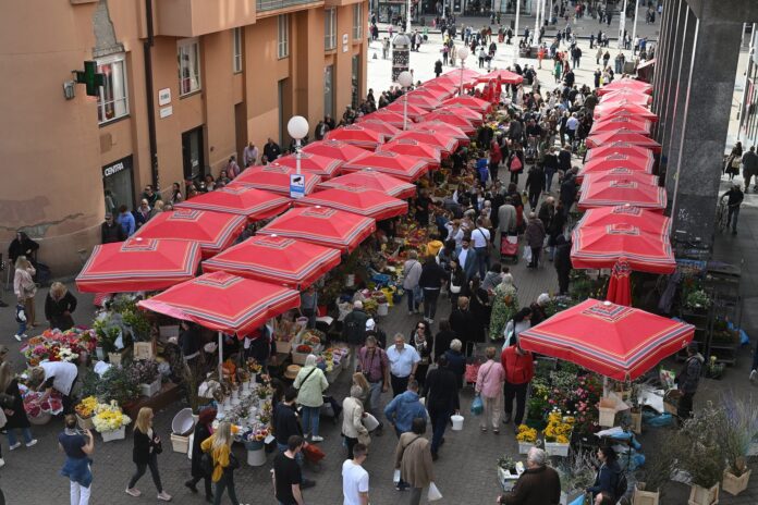 433873623_857004136445898_22411636531516819_n