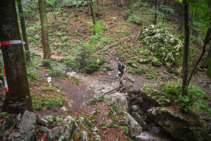 51232534499_9b8c77a78e_o