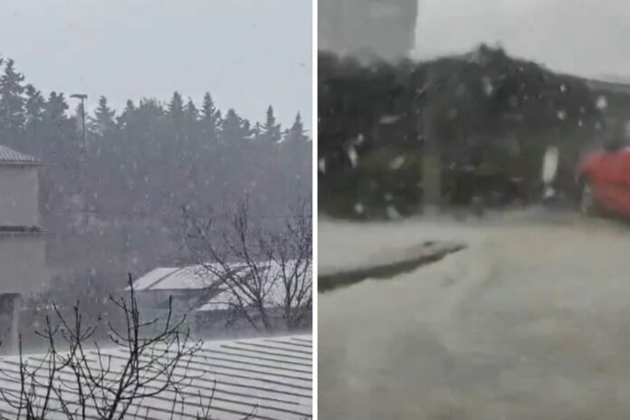 Dizajn bez naslova(142)