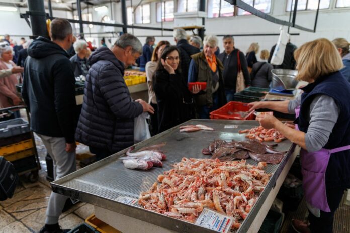 Untitled design - 2024-04-26T124944.652