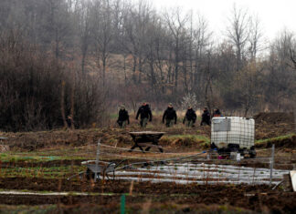 Još se traga za Dankom: Ubojica ispričao sve detalje, obitelj mu je pomogla sakriti tijelo