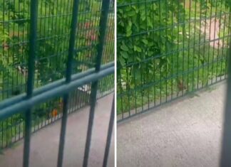 Prizor u blizini zagrebačkog vrtića zabrinuo roditelje: Strahuju za sigurnost djece