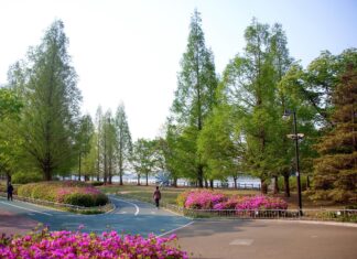 Ovo je najvažnije biće na planetu: Bez njega nema života, našem postojanju došao bi kraj