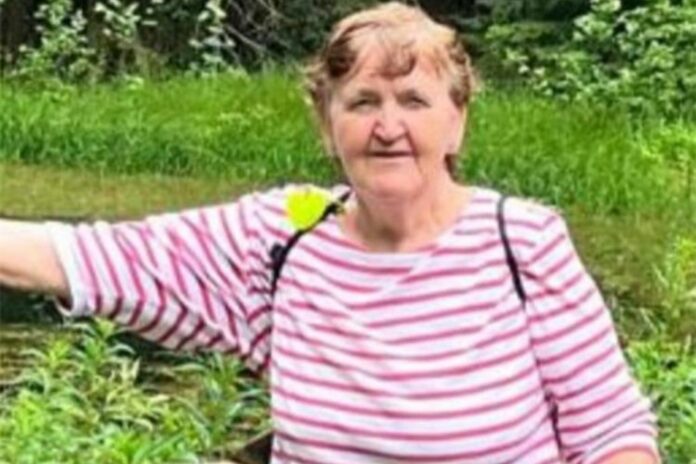 Untitled design - 2024-06-29T082029.124