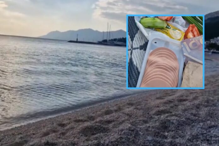 Untitled design - 2024-06-29T094748.801