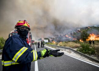 Sigurno niste znali da su naše šume među najboljima: ‘Čovjek je temelj očuvanja okoliša i cijele planete’