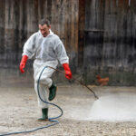 Potvrđene novosti oko širenja afričke svinjske kuge: ‘To neće biti upitno’