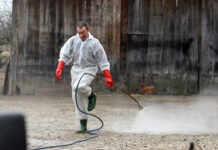 Potvrđene novosti oko širenja afričke svinjske kuge: ‘To neće biti upitno’