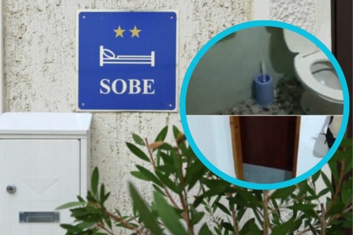 Untitled design (11)