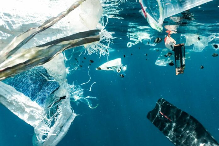 Untitled design (12)