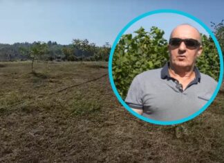 Ivan od ove biljke živi kao kralj: Pet tisuća eura zaradi samo od prodaje sadnica