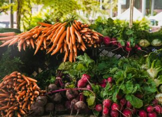 Povrće koje krije čudotvorno svojstvo: Poseban je hit među sportašima