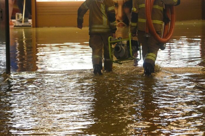 Untitled design (14)