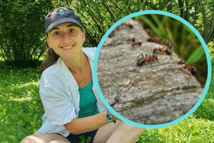 Untitled design - 2024-09-05T134938.208