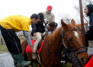 Na zapadu grada održava se kvartovska fešta: Djeca će moći besplatno jahati konje