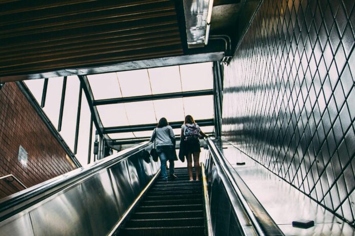 Untitled design (18)