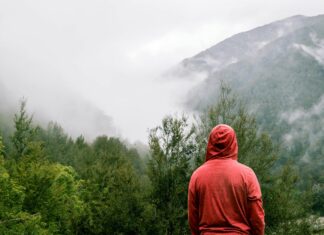 Područja šuma nemilosrdno se uništavaju: Istraživači uputili zabrinjavajući apel