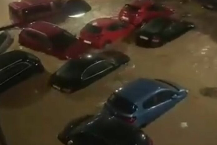 Untitled design - 2024-10-30T105057.275