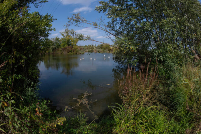 Zagreb, 26.09.2021 - Jezera Savica izmedju savskog nasipa i Radnicke ceste