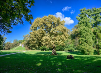 Glazba u prirodi na Dan Planeta Zemlje: Prigodan koncert u Maksimiru