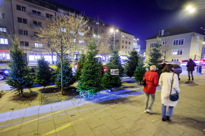 Zagreb, 18.12.2023 - Prodaja bozicnih drvci na Kvaternikovom trgu
