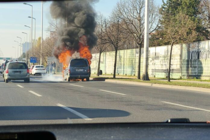 Untitled design - 2024-12-07T124656.826