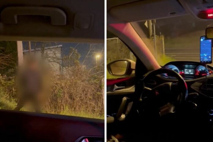 Untitled design - 2024-12-17T144324.026